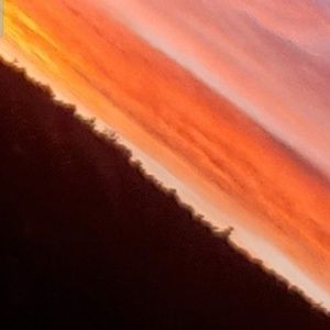 Meet your Posher, Molly